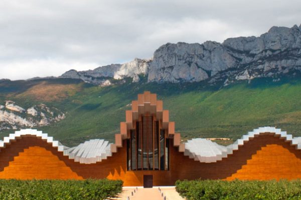 Vinedos Vinedos